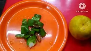 Homemade Orange Juice Hair Rinse Solution With Aloe Vera