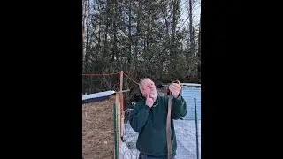 Belt Repair Chronicles: Fixing My Web Belt on the Farm