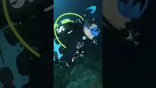 Blue Maomao Arch Poor Knights, New Zealand #scubadiving