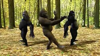 gorilla crew dancing to alex jones