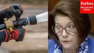 Catherine Cortez Masto Underlines 'Critical' Need To Pass Wildfire Preparedness Bill