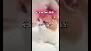 Cat Facts: Claw Control