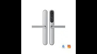 Beginnerr Liliwise Stainless steel 304 aluminum door lock ttlock tuya wifi app video