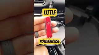 Swiss Army Mini Champ: Little Powerhouse EDC!