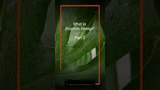 What is biophilic design - and how do you use it? Part 2