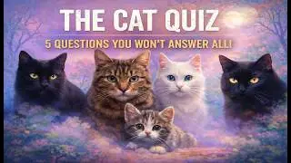 Fun Cat Quiz for the Whole Family 🐱🎉