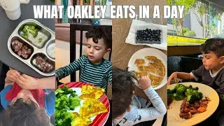 WHAT OAKLEY EATS IN A DAY!