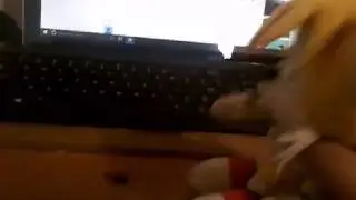 Tails reacts tail vs papyrus