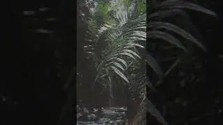 misteri Curug putri #cerita #misteri #mitos