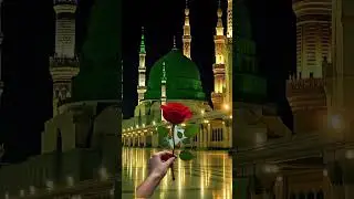 allah#kareem#love#mohd#sw#islamic#shorts#videos#beautiful