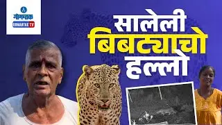 Salelli Leopar attack-Leopard Spotted in Saleli Village; Series of Pet Attacks Reported |Gomantak TV