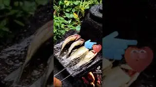 traditional village lake fish curry | traditional village fish recipe | village life