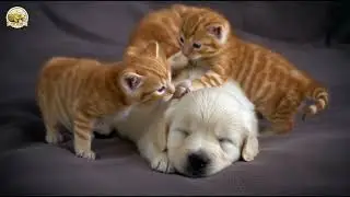 A Quiet Moment That Feels Warm