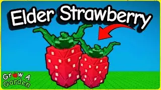 How to Get the ELDER STRAWBERRY + Showcase in Grow a Garden (Roblox)