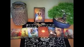 🌞✨ L'Oracle du Soleil de Stacey Demarco illustr&eacute; par Kinga Britschgi