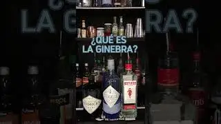 &iquest;QU&Eacute; ES LA GINEBRA #cocteles #drinking #barman #bartender #cocktail #reels #reels #ginebra