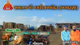 સનાતન ગૌ નગરી કળમોદર (બગદાણા) | santana gounagari kalmodar | ગૌ મંદિર 