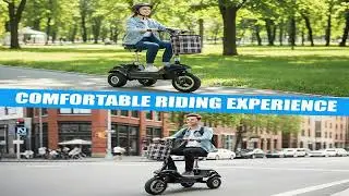 TWOFISH TF03 Electric Scooter with Seat 350W 48V 15Ah Blue Best Price Offer