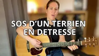 Sos d'un terrien en détresse - guitare cover - avec accords