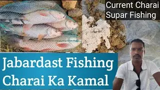 current Charai ka kamal.rohu fish ka sikar jabardast fishing video 