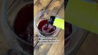 Vinito