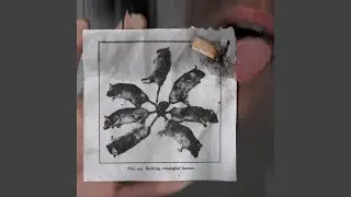 ratking