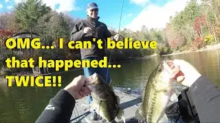 How to use Alabama Rig!