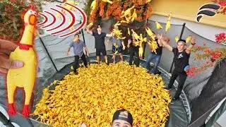 TRAMPOLINE FILLED WITH SQUEAKY CHICKEN TOYS