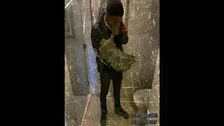 [FREE] Pooh Shiesty x Foogiano ''Dawgz