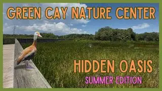 Green Cay in July | Florida&rsquo;s Hidden Wetland Oasis