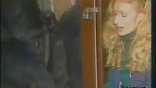 RDVideo - Koko la gorilla che comunicava con la lingua dei segni.