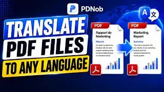 How to Translate PDF Files to Different Languages | Accurate & Bilingual