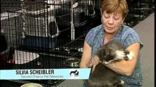 Shaw TV and Second Chance Pet Of The Week