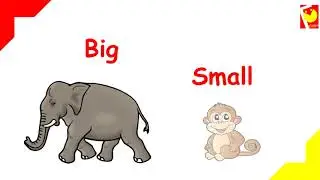 Big Small Size |  Pre number skills | Comparison | Opposites | Concepts