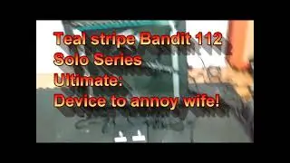 Bandit 112 Teal Stripe Solo Series. Born to annoy your wife