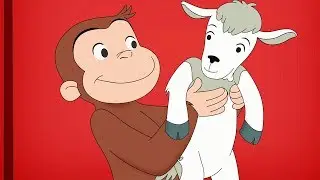 George O Curioso 🐵A Firma da George e Aliie🐵Compilação 🐵 Desenhos Animados em Português