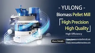 YULONG Biomass Pellet Machine High Precision High Quality!
