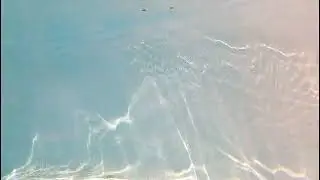 gorilla waterproof tape