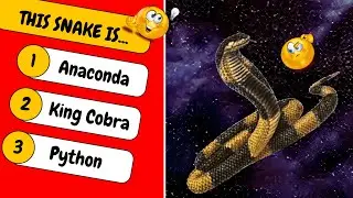 How Well Do You Know SNAKE Animals?🐍 | General Knowledge Trivia Quiz