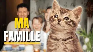 7 SIGNES QUI PROUVENT QUE VOTRE CHAT VOUS AIME