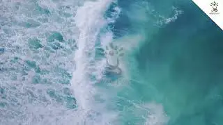 Yoga Music | Feel the Rhythm of Sea | Satyugyoga Music | 2023