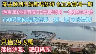 業主蝕本到阿媽都唔識 | 合正東部灣一齊高層樓王 | 750尺無敵海景一房一廳 | 可以改兩房 | 只要29.8萬有交易 | 落樓沙灘遊艇碼頭 | 