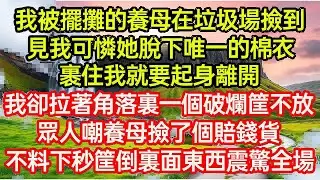 我被擺攤的養母在垃圾場撿到，見我可憐她脫下唯一的棉衣，裹住我就要起身離開，我卻拉著角落裏一個破爛筐不放，眾人嘲養母撿了個賠錢貨，不料下秒筐倒裏面東西震驚全場...#命運的相遇#為人處世#生活故事●