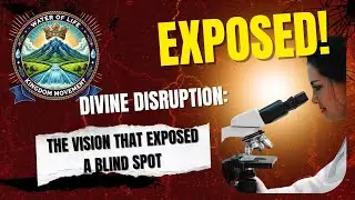 Divine Disruption: The Vision That Exposed A Blind Spot