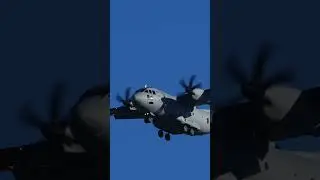 🛬 Graceful Glide: Slow Flyby with Landing Gear Down & Flaps Extended | #short #shorts
