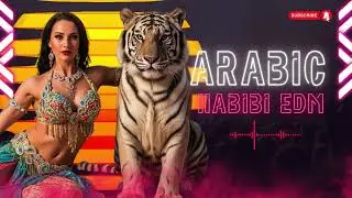Arabic Habibi EDM Remix 2026 &ndash; Chill-Out Trap Mix for Focus & Late Nights