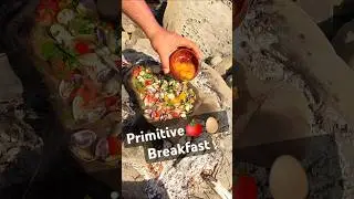Primitive Breakfast: Tomato & Quail Eggs / How to Cook an Omelet on a Stone in the Wild #omelette