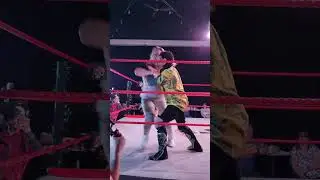 Dementia Files, Pro Wrestling