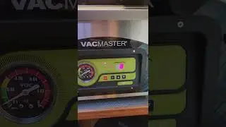 vacuum sealing razor clams with Vacmaster #razorclams #vacuumsealedflavor #clam #vacmaster