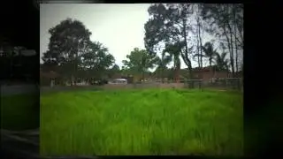 B&K Revegetation and Landscaping